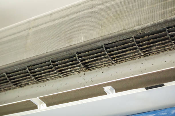 Best Air Duct Cleaning Near Me  in Rushvle, IL