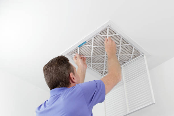 Best Air Vent Cleaning Services  in Rushvle, IL